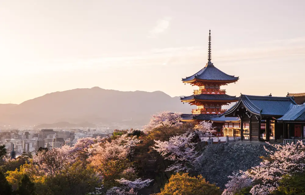 Hotels in Kyoto are waiting for you to discover the city's beauty! Find the best hotel deals.