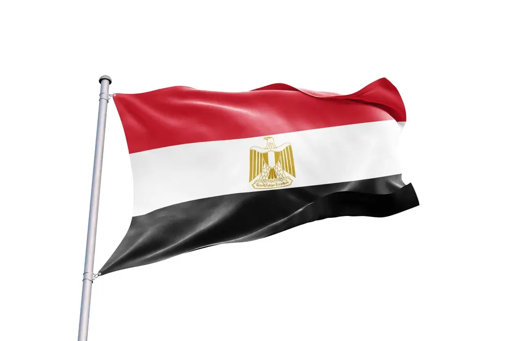 flag of egypt - egypt flag