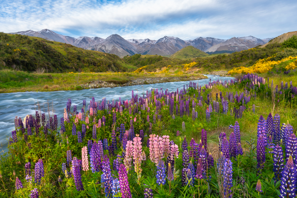 Hotels in New Zealand are waiting for you to discover the country’s beauty! Find the best hotel deals.